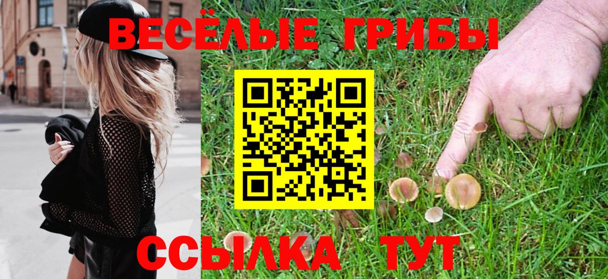 Вышний Волочёк  Псилоцибиновые грибы Psilocybine cubensis  Вход с VPN 