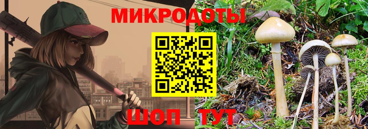 Галлюциногенные грибы ЛСД Вышний Волочёк